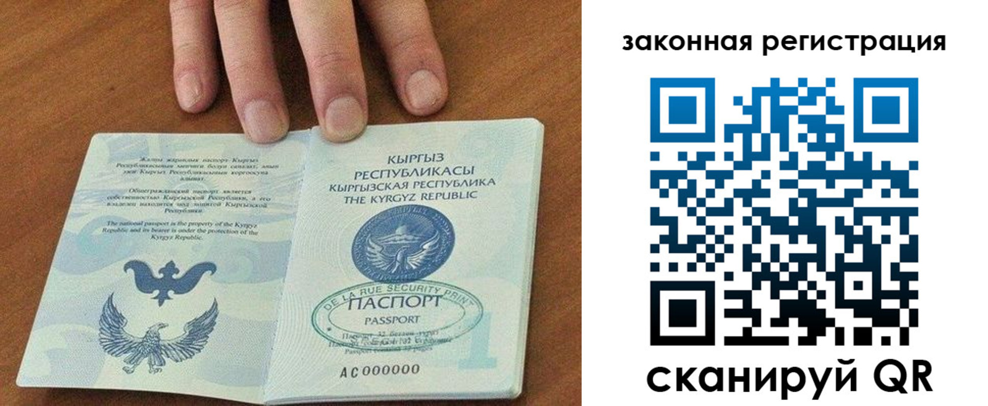 прописка гарантия в Новоалександровске
